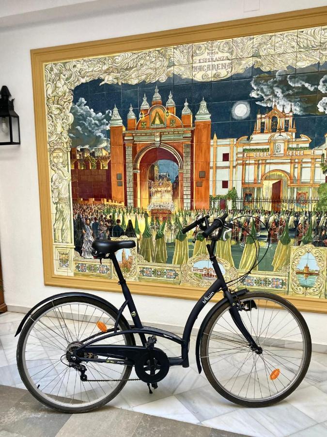 Loft And Bike Alameda * Sevilla